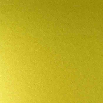 Tints 20521