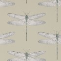 DEMOISELLE