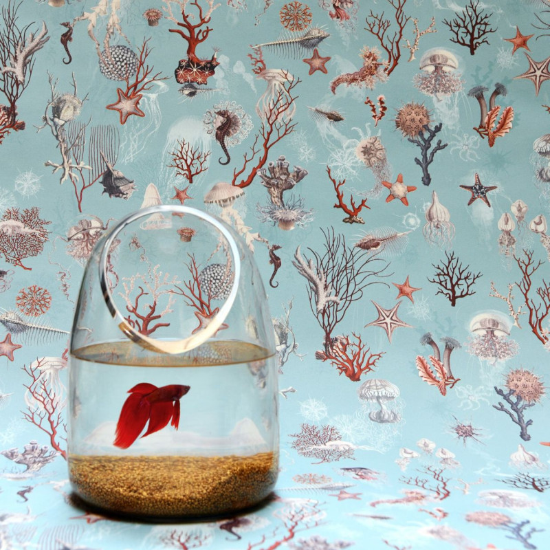 papier peint corail