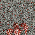 papier peint coquelicot