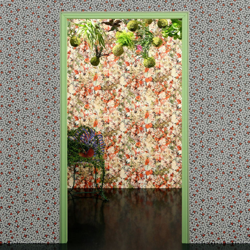 papier peint coquelicot
