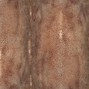 Précieux Cuivre 3326/01