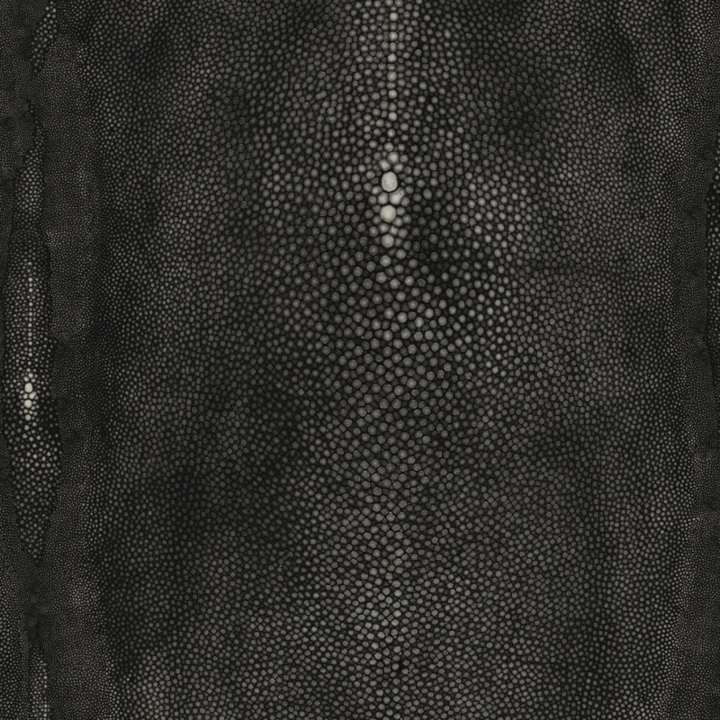 Précieux Noir 3326/03