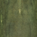 Précieux Vert 3326/04