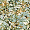 Cerisier Doré 3321/02