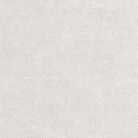 Lys Oyster CLR021