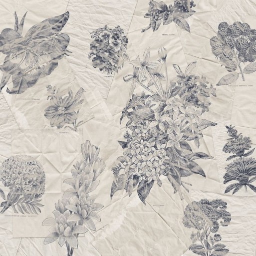 Botanical papers R3-045