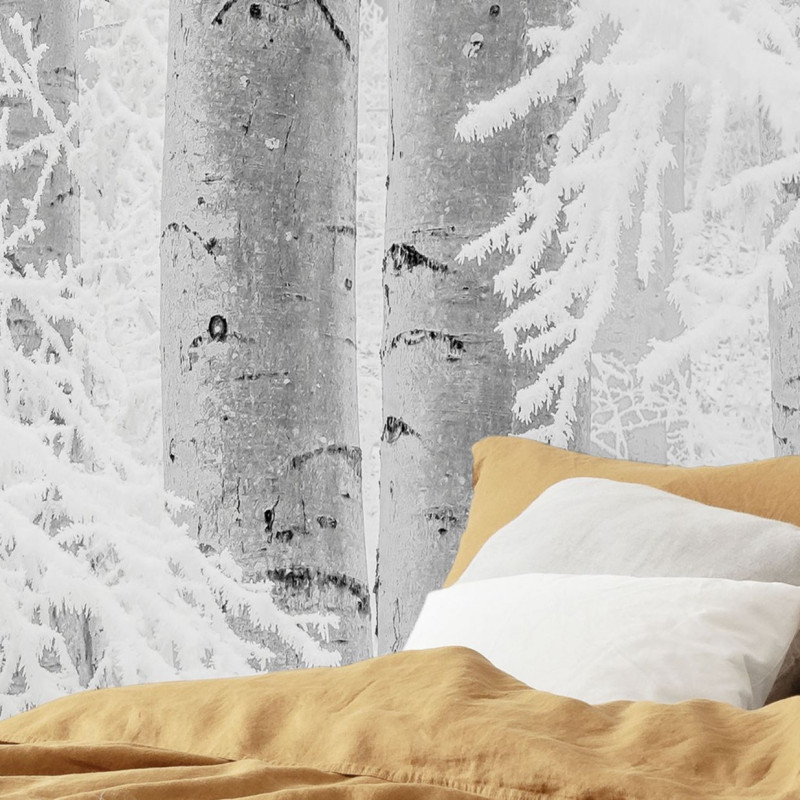 papier peint winter wood