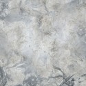 Flower fossil RSX4-020