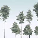 Pines R4-040