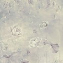 Water lily R2-016