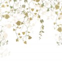 Hedera R3-025