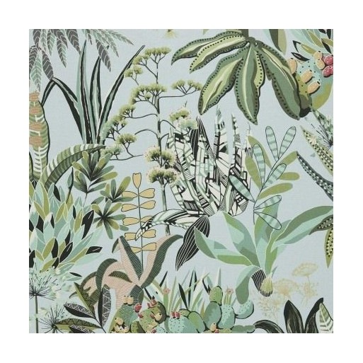 Figari Agave