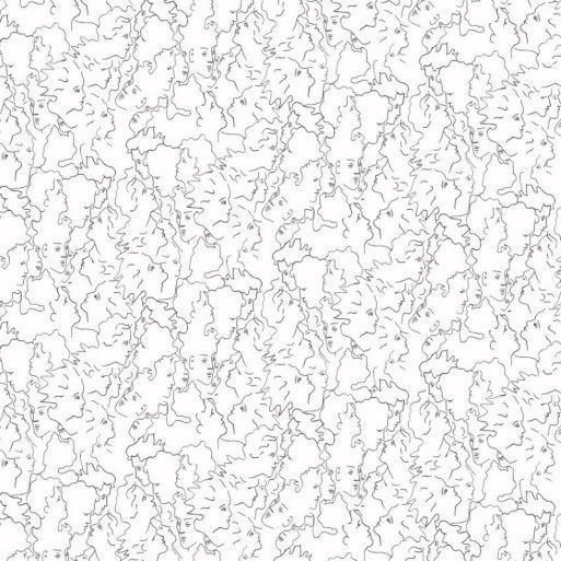 Ressemblance ivoire/noir 6462-01