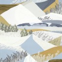 Paysage glacier 6455-01
