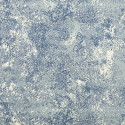 Constellation lichen 6452-02
