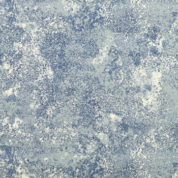 Constellation lichen 6452-02