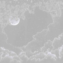 Moonlight Grey DOM302-1