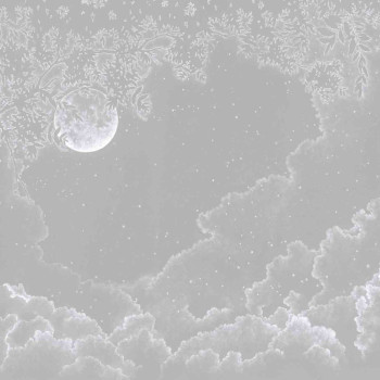 Moonlight Grey DOM302-1