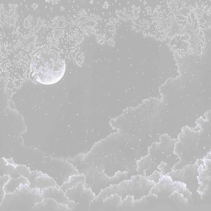 Moonlight Grey DOM302-1