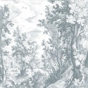 Brushwood DOM304