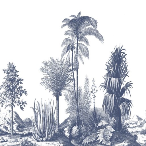 Aloes DOM306