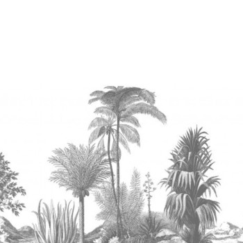 Aloes Grey DOM306-1