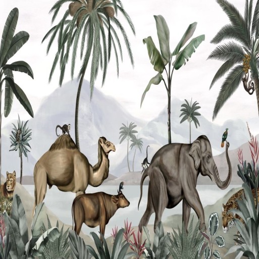 Wild India DOM509