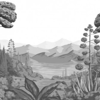Orta Grisaille DOM518