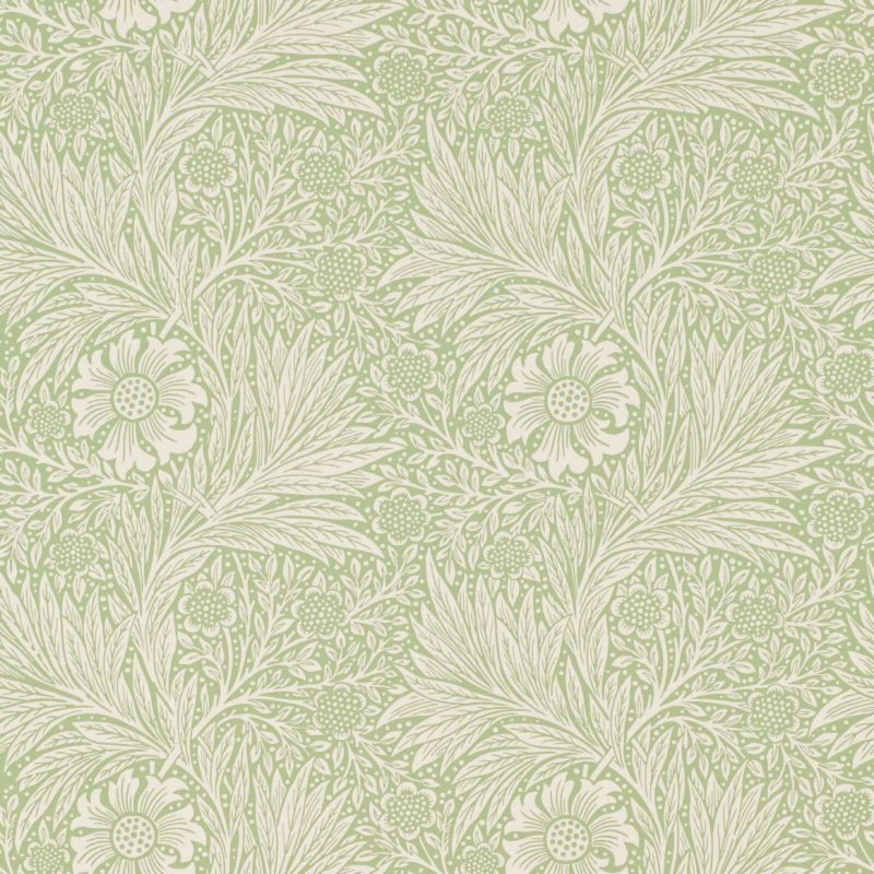 Marigold artichoke  216837