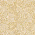 Marigold cowslip 	216832