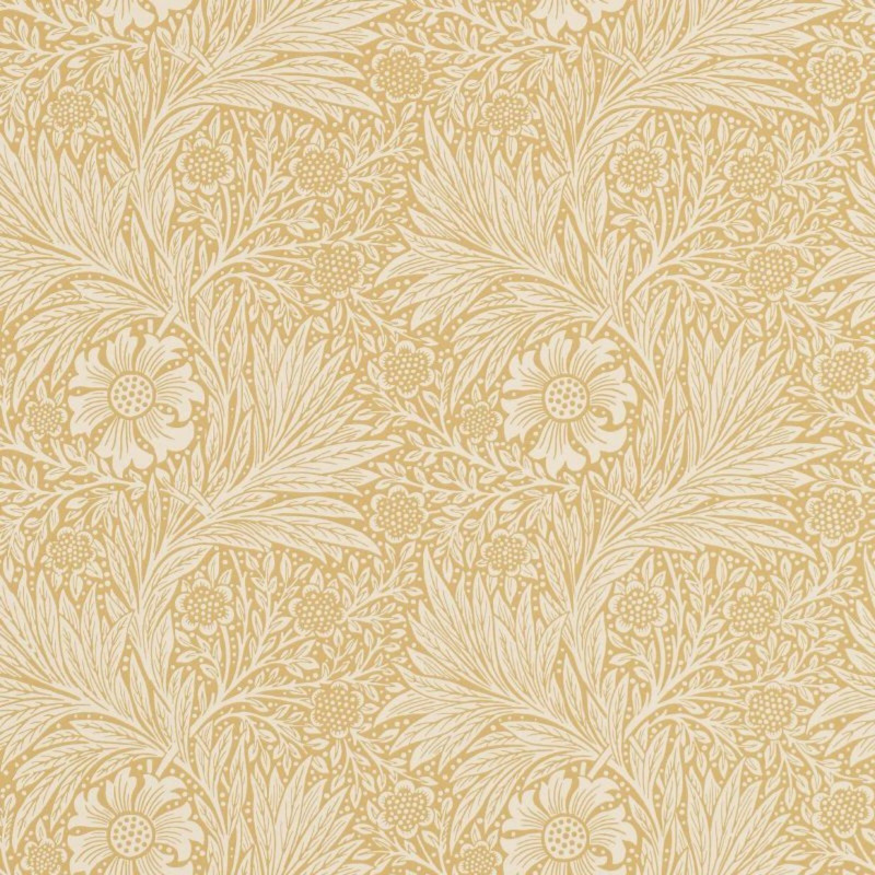 Marigold cowslip 	216832