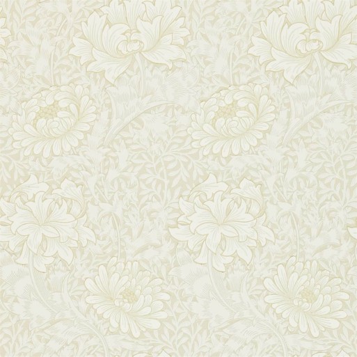 Chrysanthemum chalk 216823