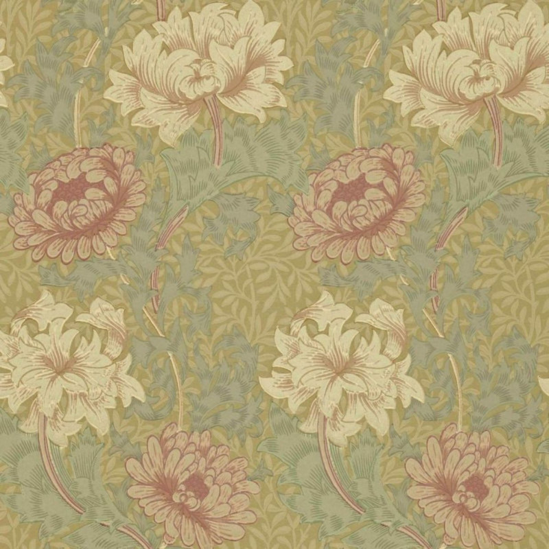 Chrysanthemum pink/yellow/green 	216860