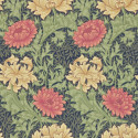 Chrysanthemum indigo 216854