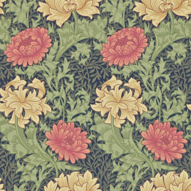 Chrysanthemum indigo 216854