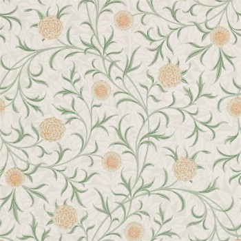 Scroll 216831