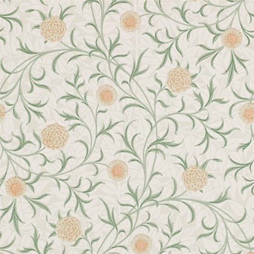 Scroll 216831