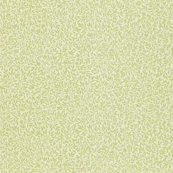 Standen fennel 216833