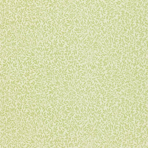 Standen fennel 216833