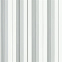 Aiden Stripe - Black/Grey PRL020/09