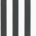Spalding Stripe - Black/White PRL026/09