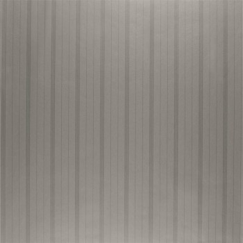 Trevor Stripe  Stainless Steel PRL5014/03