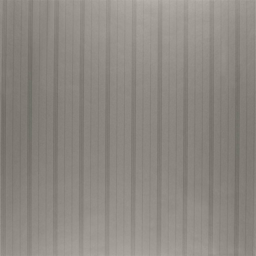 Trevor Stripe  Stainless Steel PRL5014/03