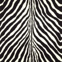 Bartlett Zebra  Charcoal  PRL5017/04