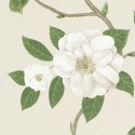 Christabel Ivory/Cream 213380