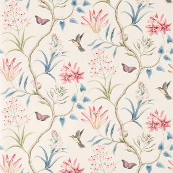 Clementine Indienne 213387