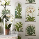 papier peint terrariums