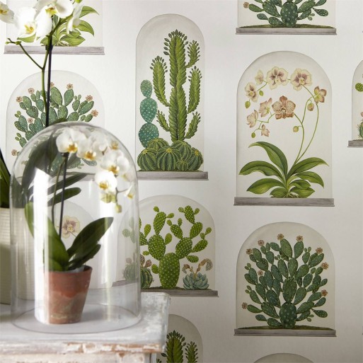 papier peint terrariums