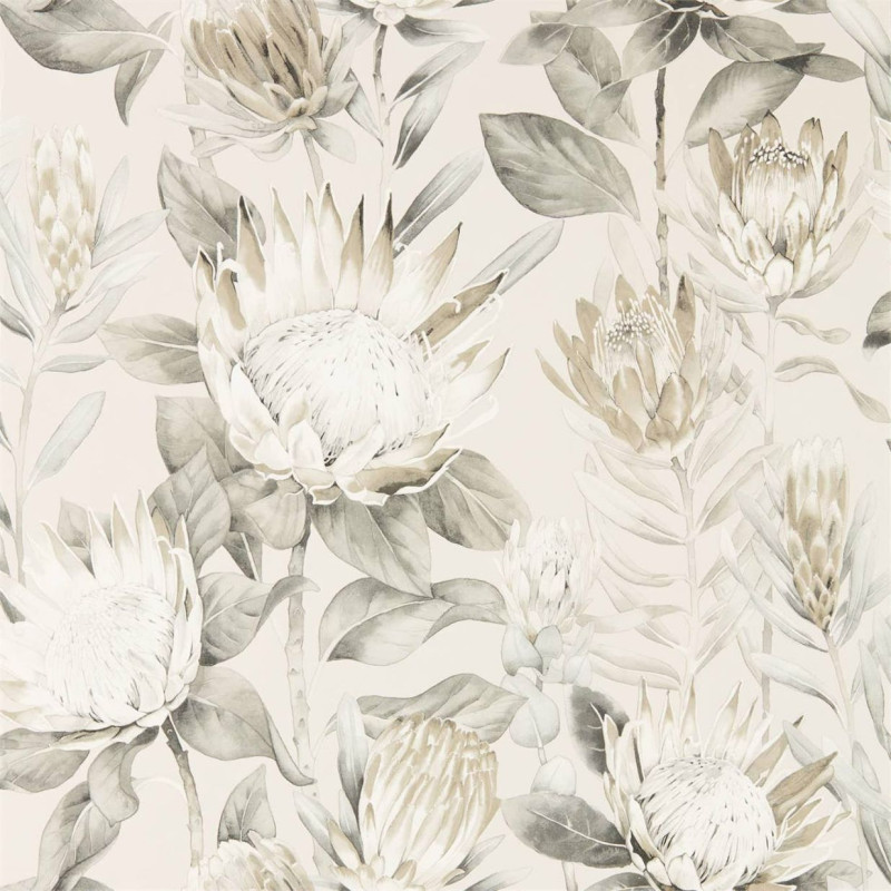 King Protea Linen / Mica 216647